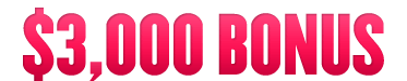 Deposit Bonus for Dotty Bingo Casino in dottybingocasinonodeposit.click